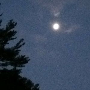 Meet your Posher, Ally